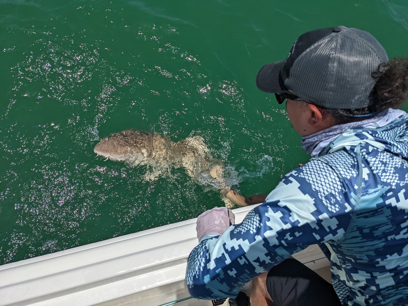 2-6 Hours Inshore Fishing In Matlacha