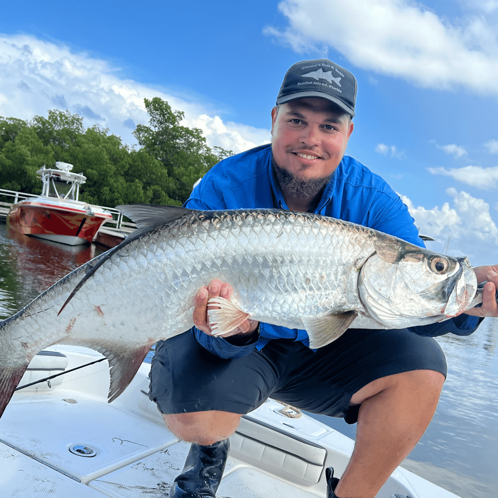 2-6 Hours Inshore Fishing In Matlacha