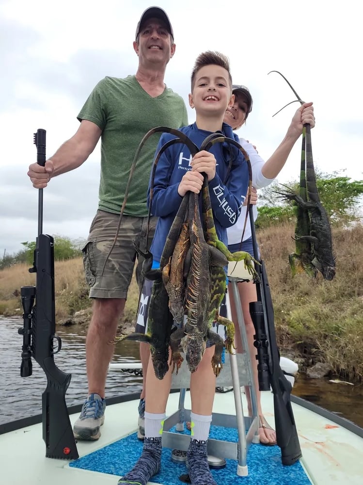 Iguana Hunts Delray Beach In Delray Beach