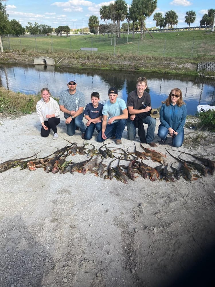 Iguana Hunts Delray Beach In Delray Beach