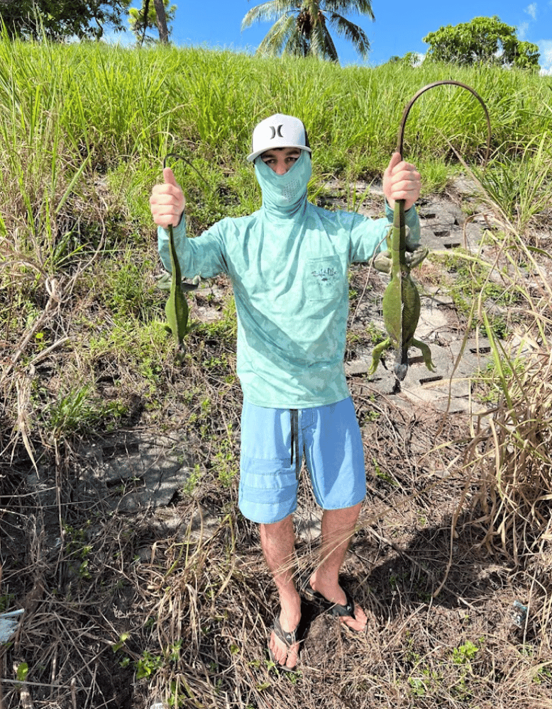 Iguana Hunts Delray Beach In Delray Beach