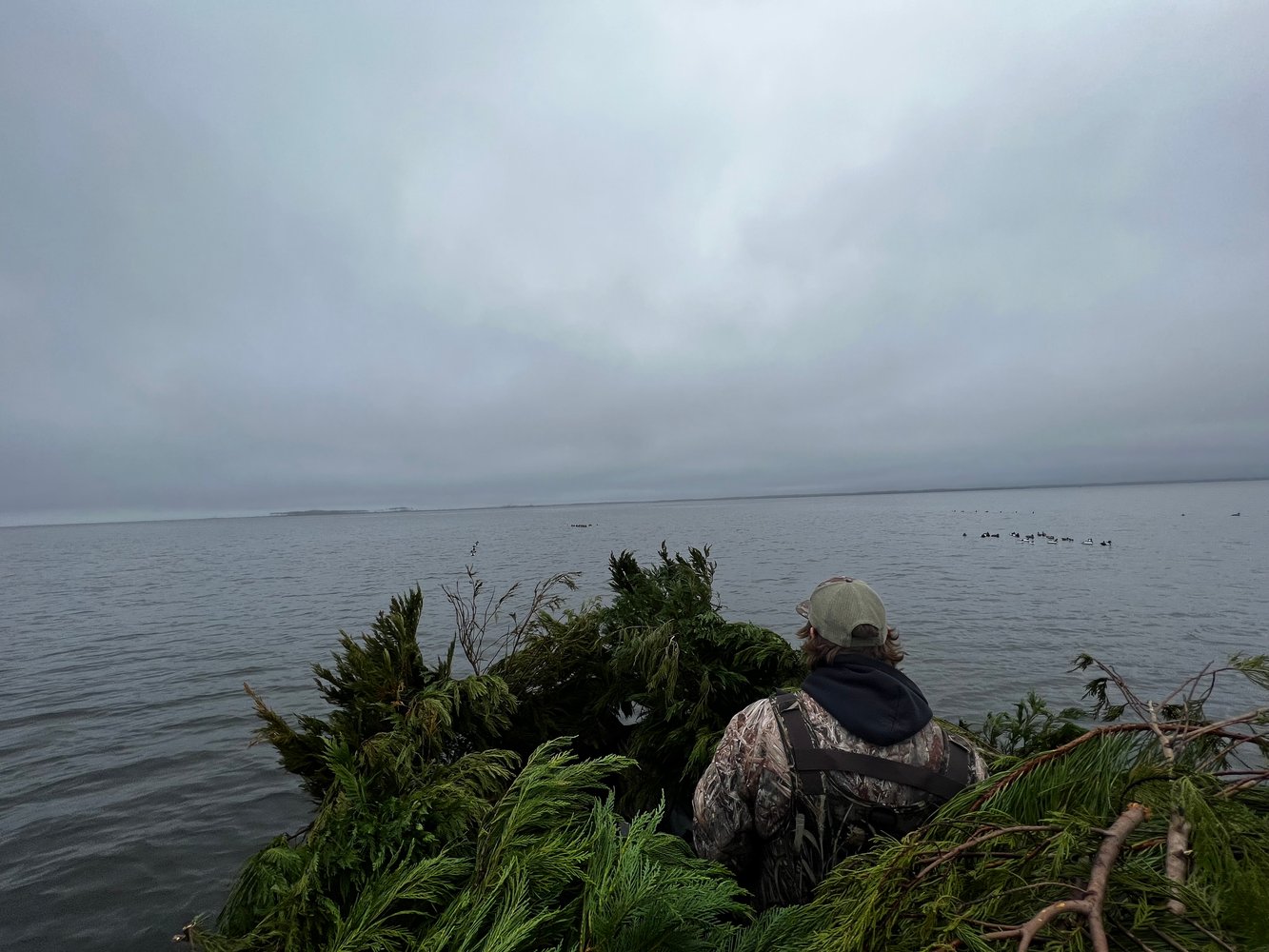 Open Water Duck Hunts In Atlantic Beach