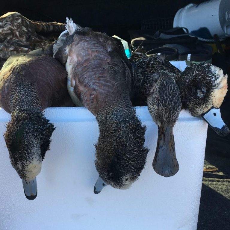 Open Water Duck Hunts In Atlantic Beach