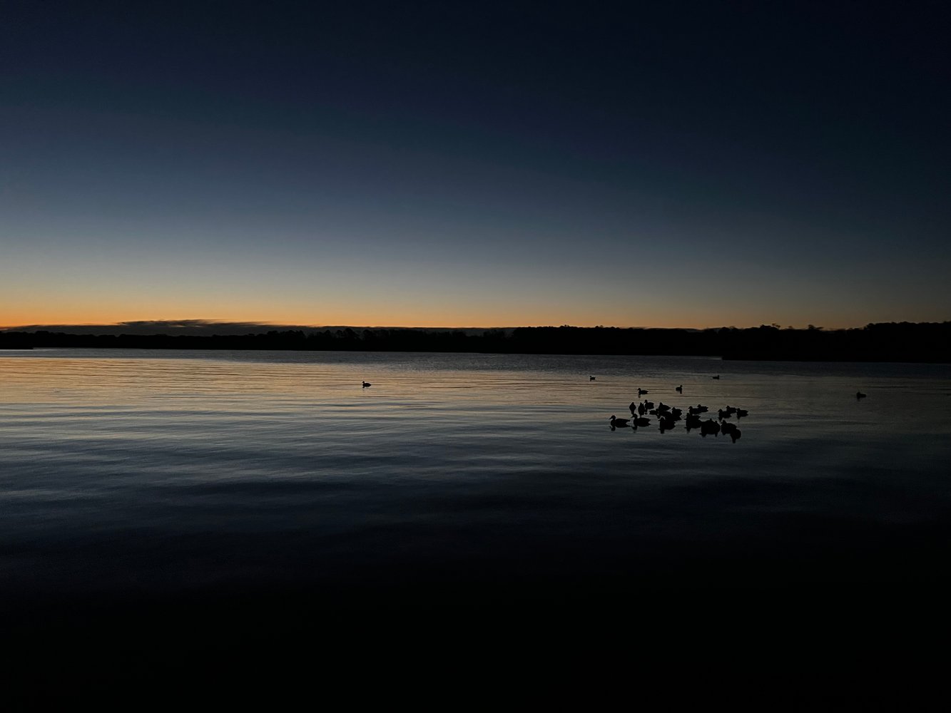 Open Water Duck Hunts In Atlantic Beach