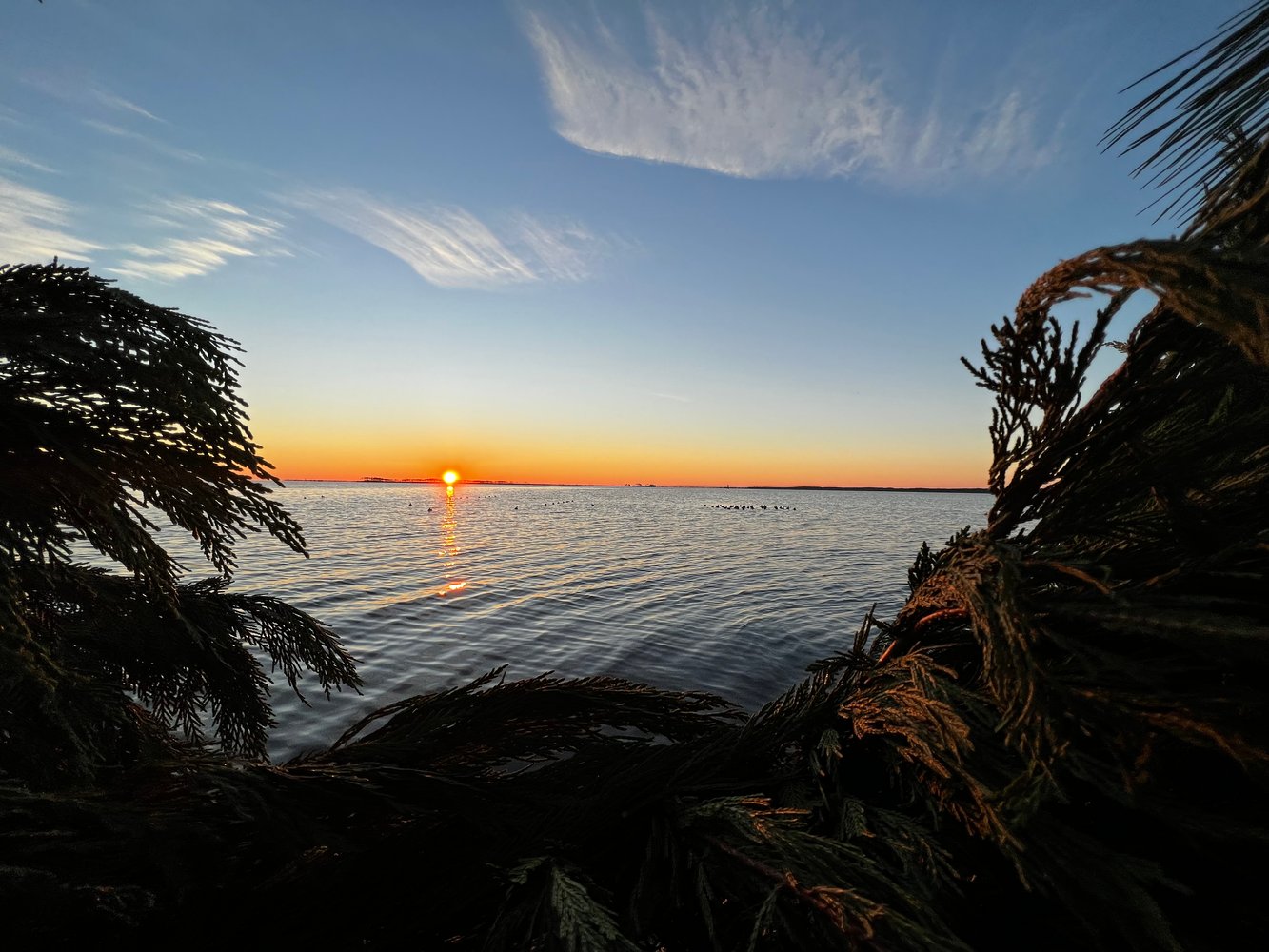 Open Water Duck Hunts In Atlantic Beach