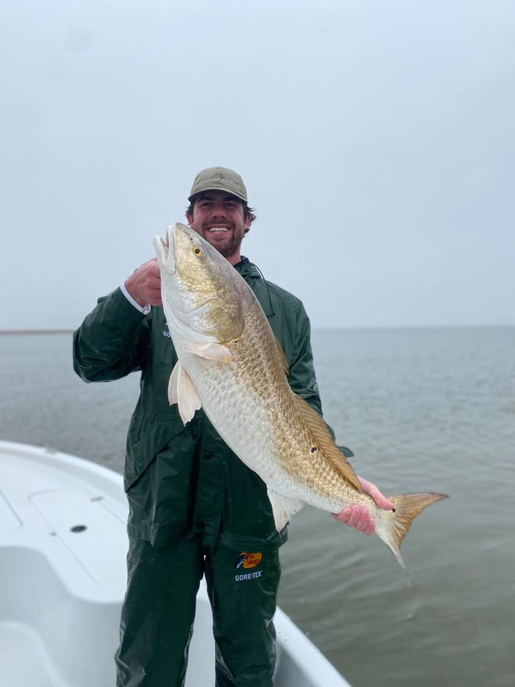 Inshore Venice In Boothville-Venice