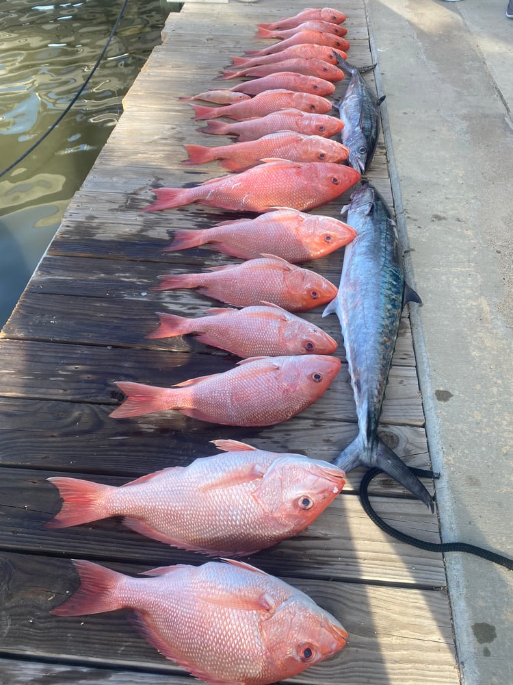 8 Hour Offshore Reef & Wreck Fishing In Port Aransas