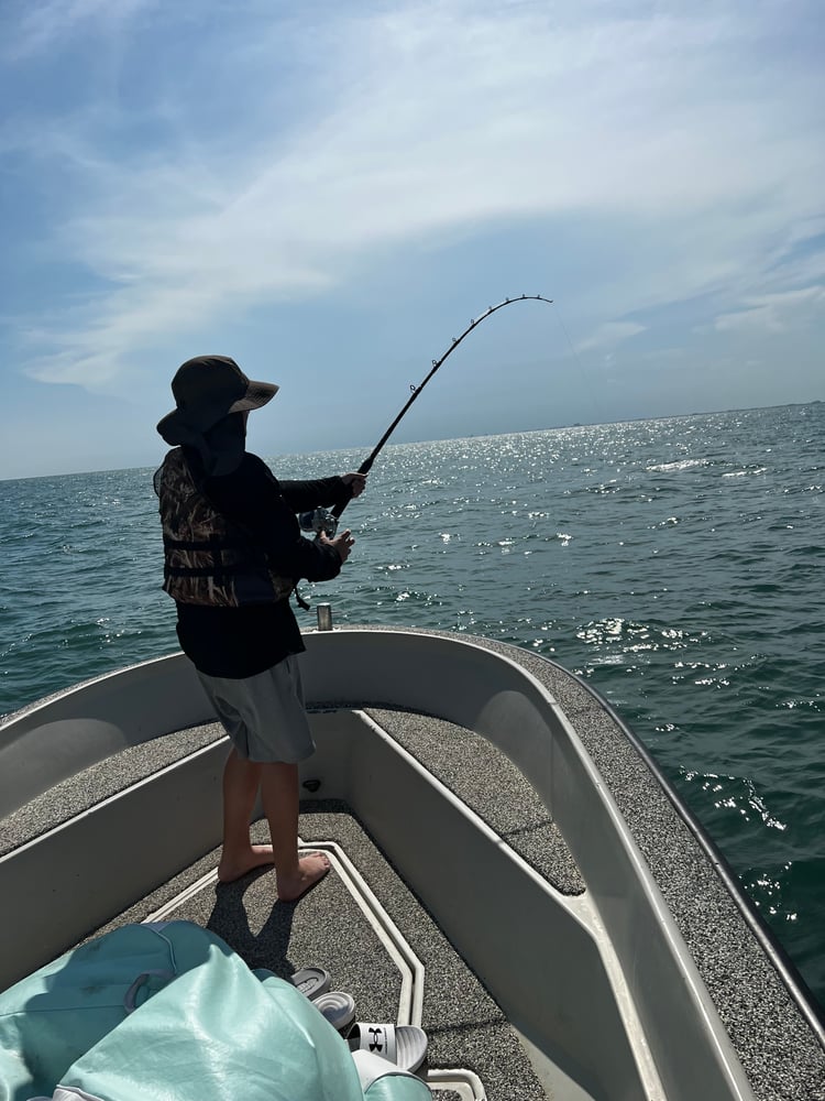 Shark Adventure In Galveston