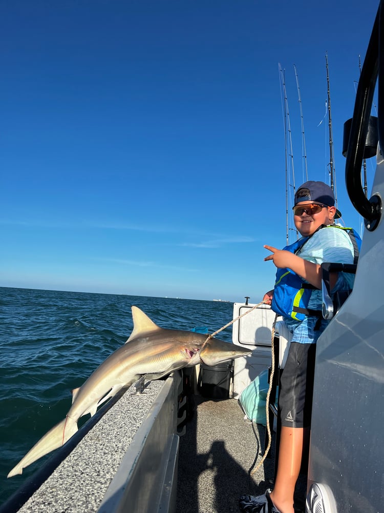 Shark Adventure In Galveston