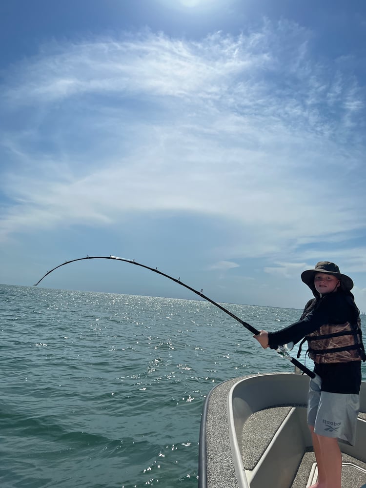 Shark Adventure In Galveston