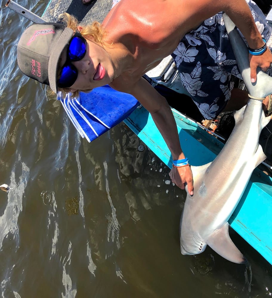 Battling Sharks! In Cedar Key