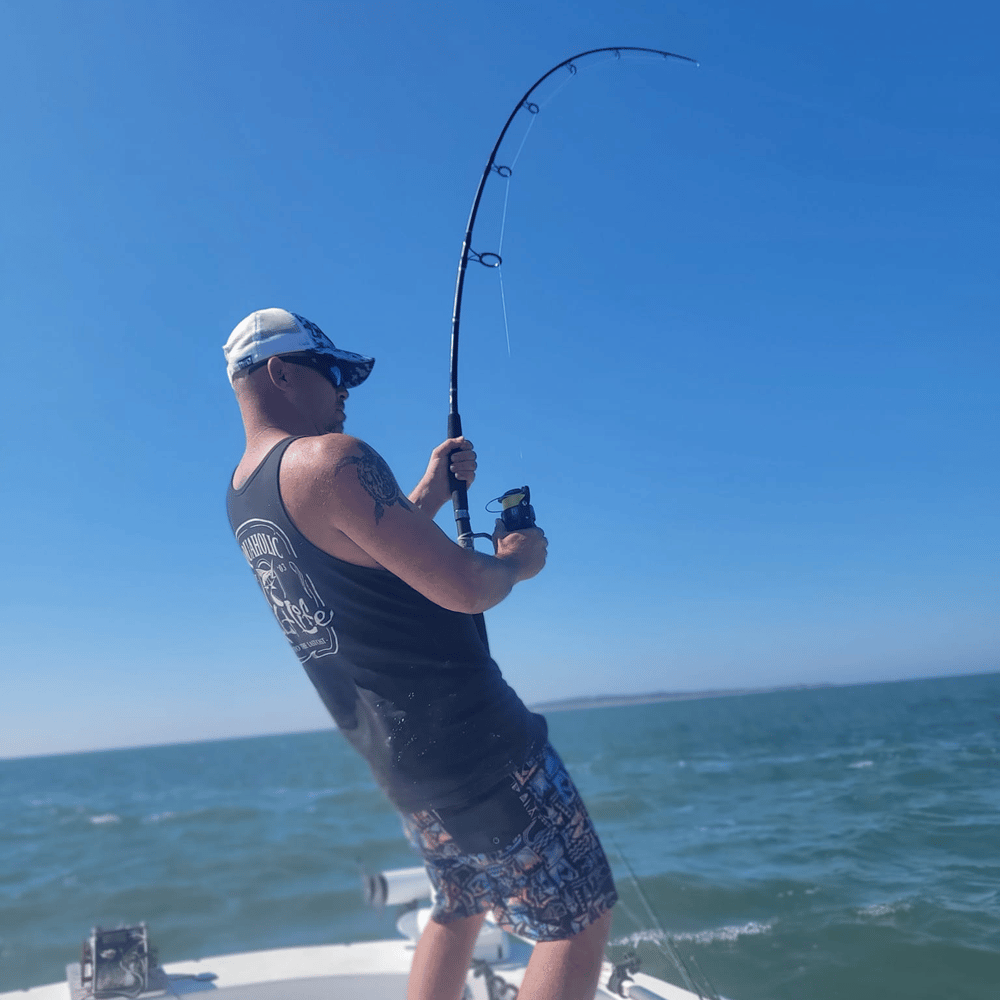 Battling Sharks! In Cedar Key