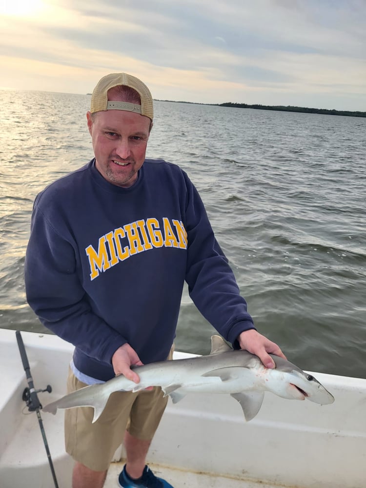 Battling Sharks! In Cedar Key