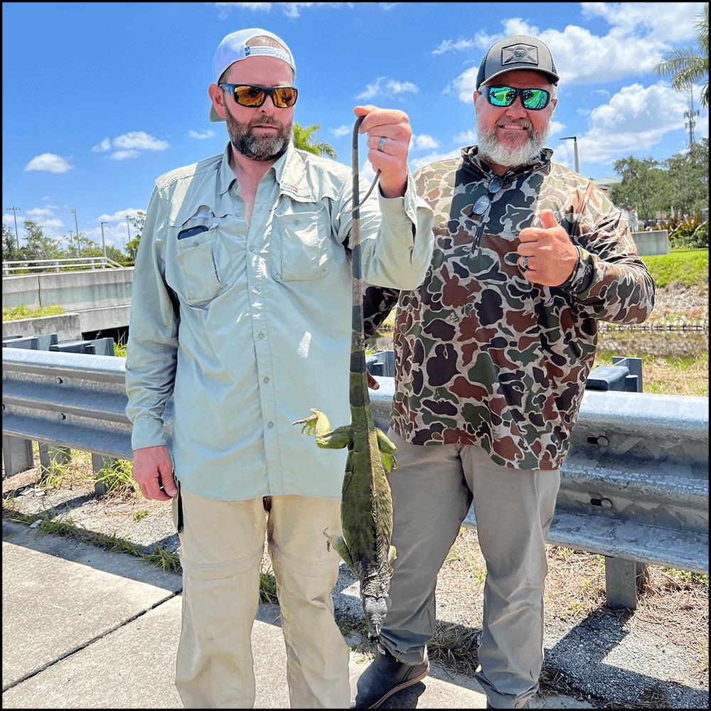 West Palm Beach Iguana Hunt In West Palm Beach