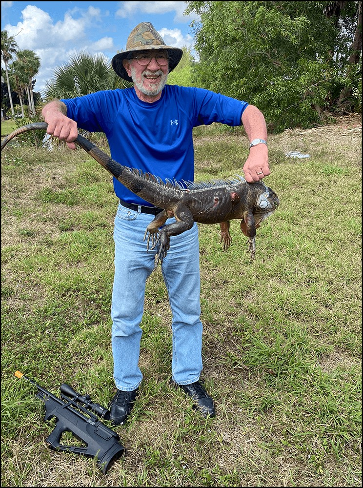 West Palm Beach Iguana Hunt In West Palm Beach