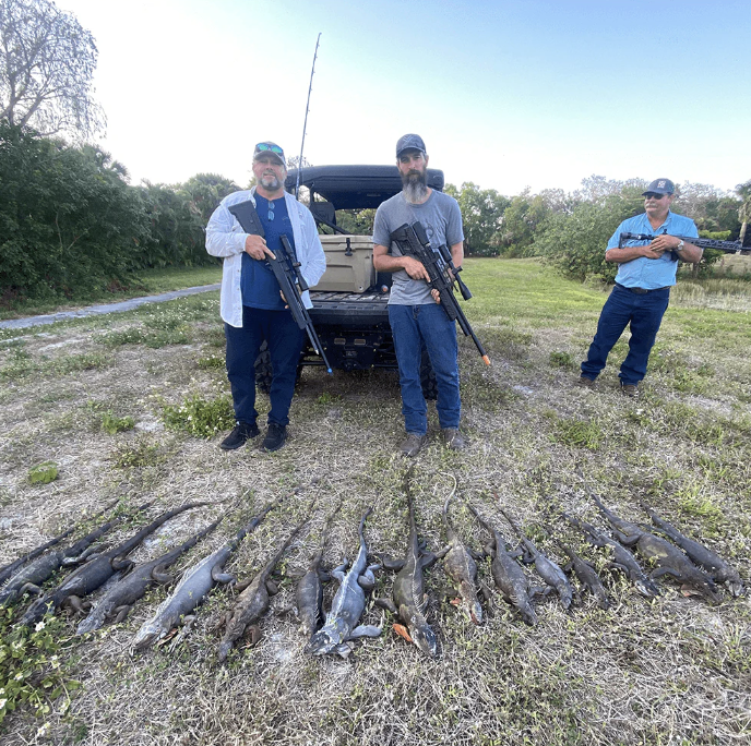 West Palm Beach Iguana Hunt In West Palm Beach