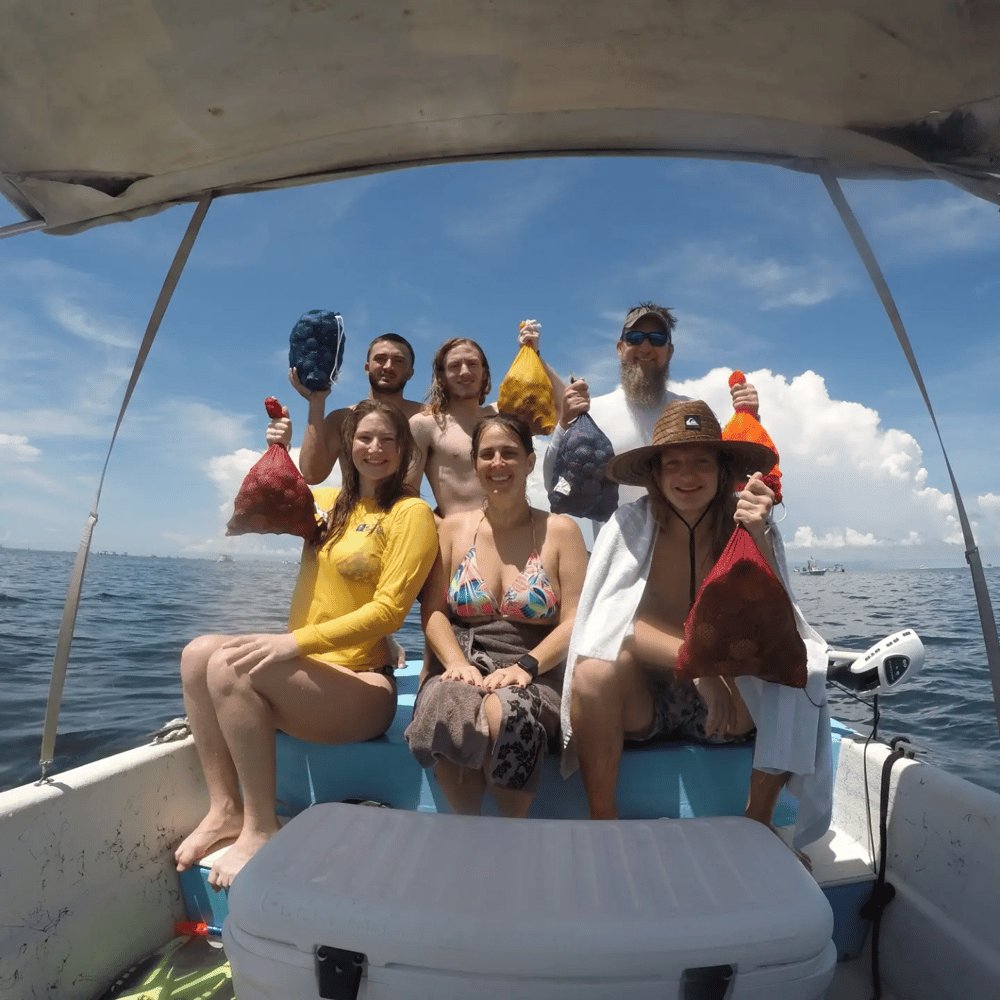 Scalloping In Crystal River