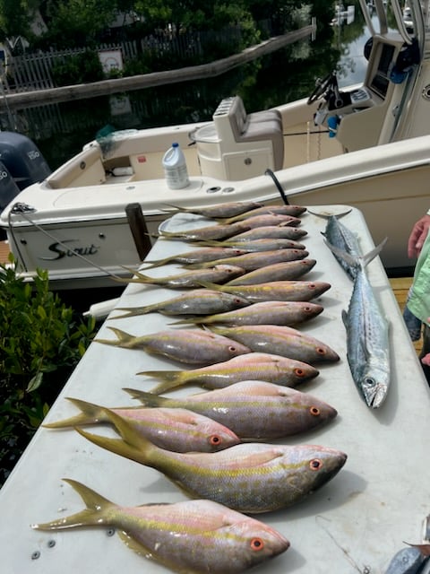 Reef Fishing In Little Torch Key