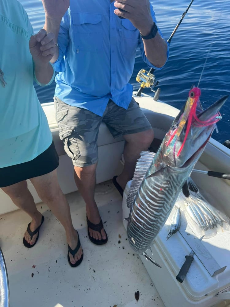 Reef Fishing In Little Torch Key