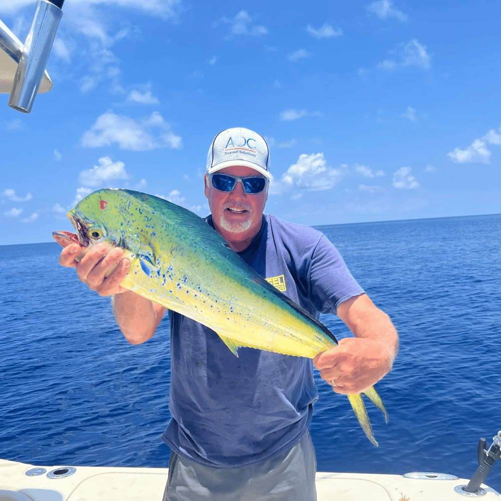 Reef Fishing In Little Torch Key