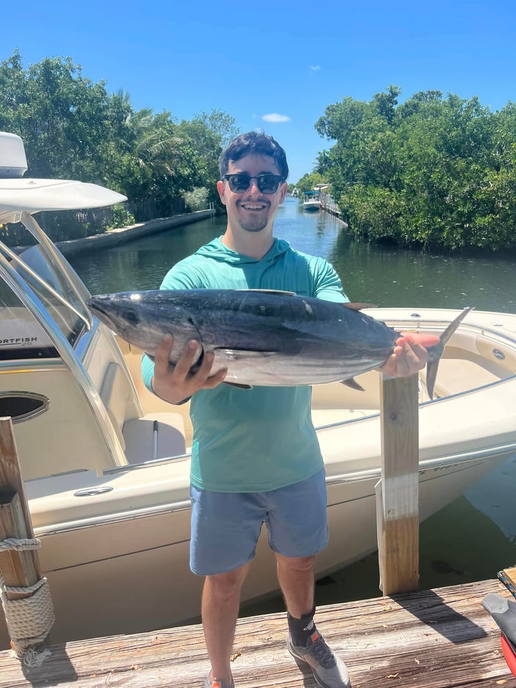 Reef Fishing In Little Torch Key