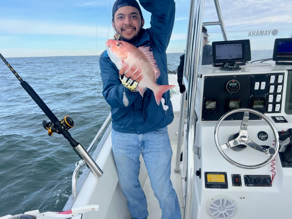 PCB Fish Frenzy In Panama City Beach