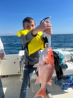 PCB Fish Frenzy In Panama City Beach