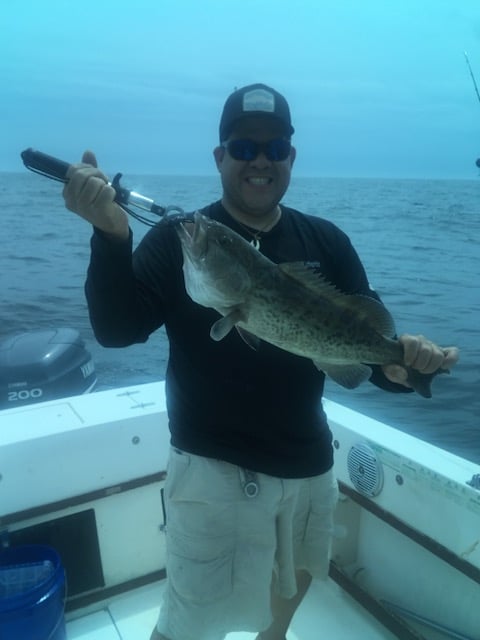 PCB Fish Frenzy In Panama City Beach