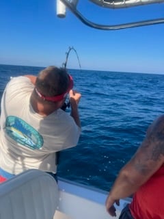 PCB Fish Frenzy In Panama City Beach