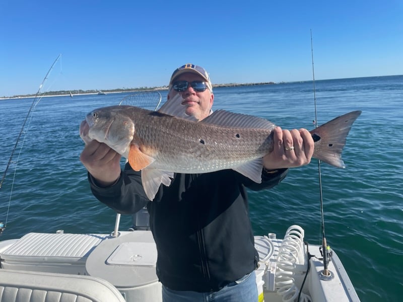 PCB Fish Frenzy In Panama City Beach