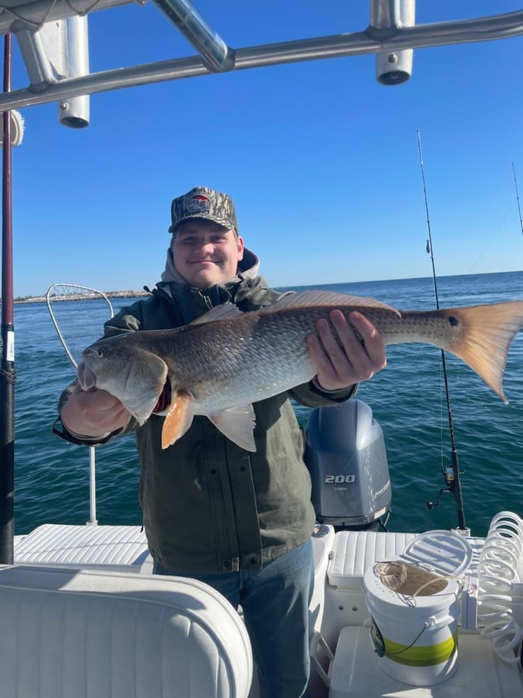 PCB Fish Frenzy In Panama City Beach