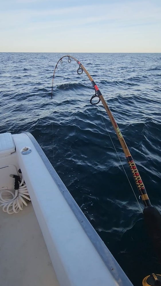 PCB Fish Frenzy In Panama City Beach