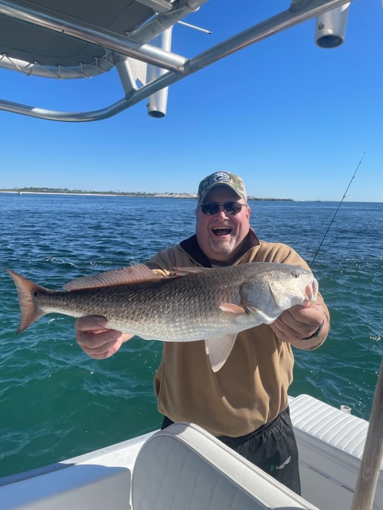 PCB Fish Frenzy In Panama City Beach