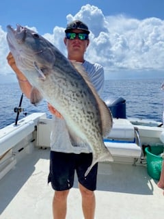 PCB Fish Frenzy In Panama City Beach