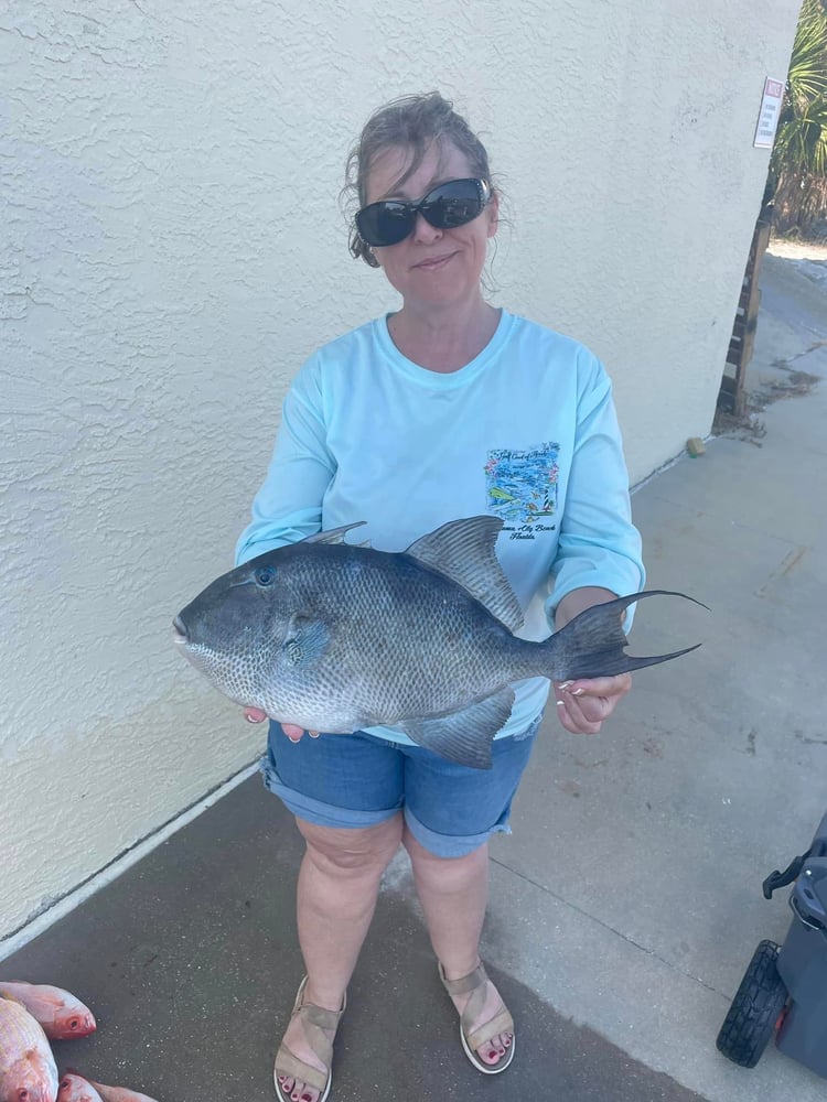 PCB Fish Frenzy In Panama City Beach