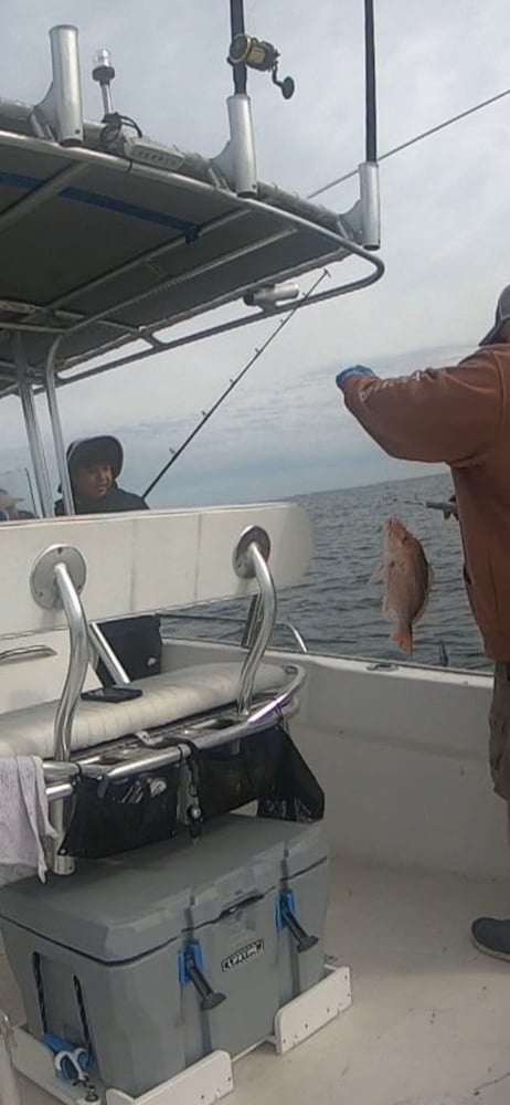 PCB Fish Frenzy In Panama City Beach