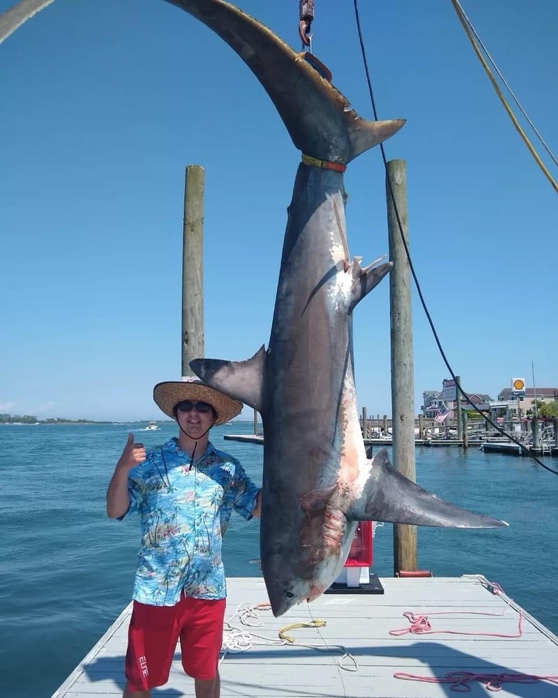 Offshore Monster Sharking!! In Freeport