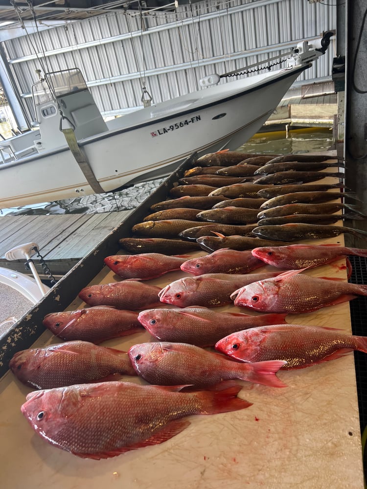 Red Snapper Trip In Boothville-Venice