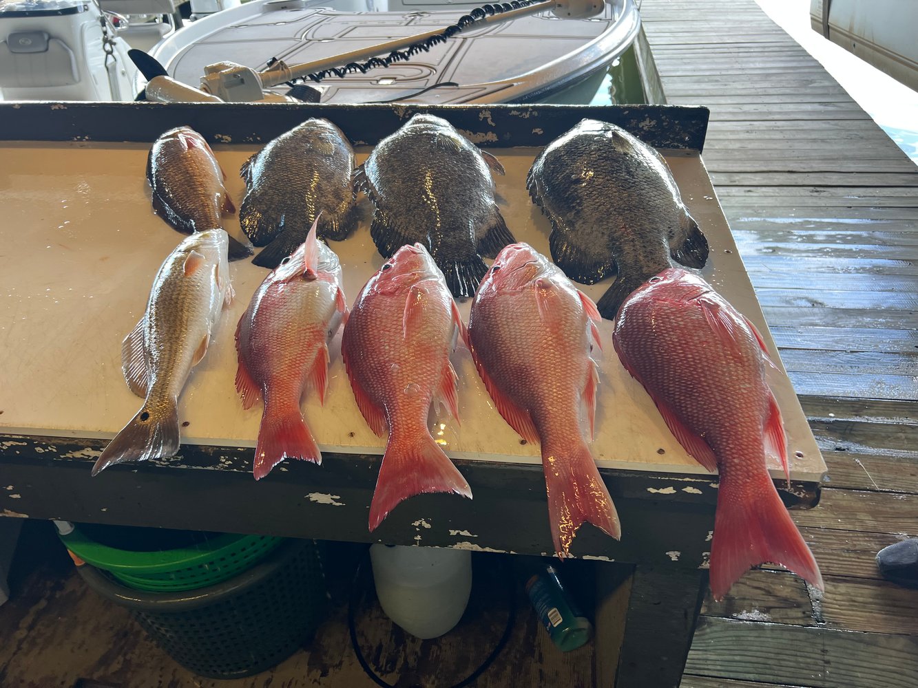 Red Snapper Trip In Boothville-Venice