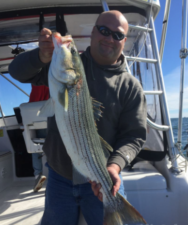 Striper Extravaganza! In Freeport