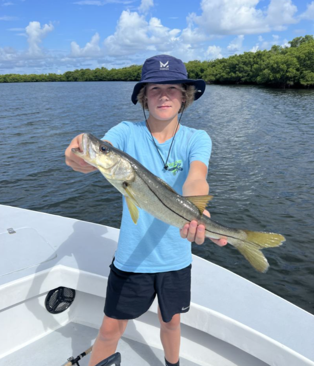 Tampa Bay Toads! In Holmes Beach