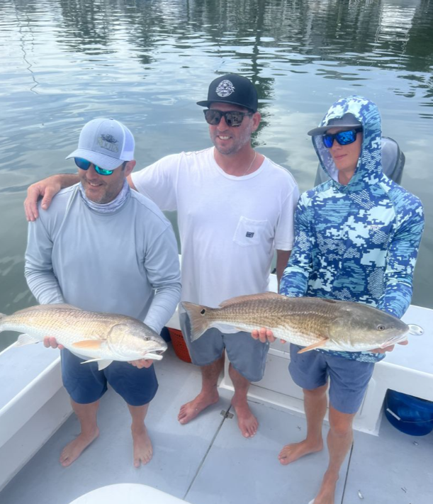 Tampa Bay Toads! In Holmes Beach