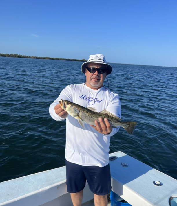 Tampa Bay Toads! In Holmes Beach