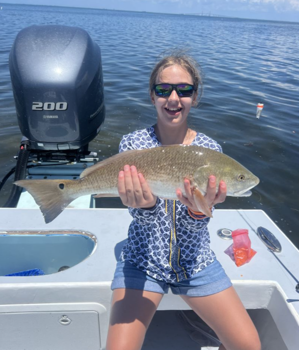 Tampa Bay Toads! In Holmes Beach