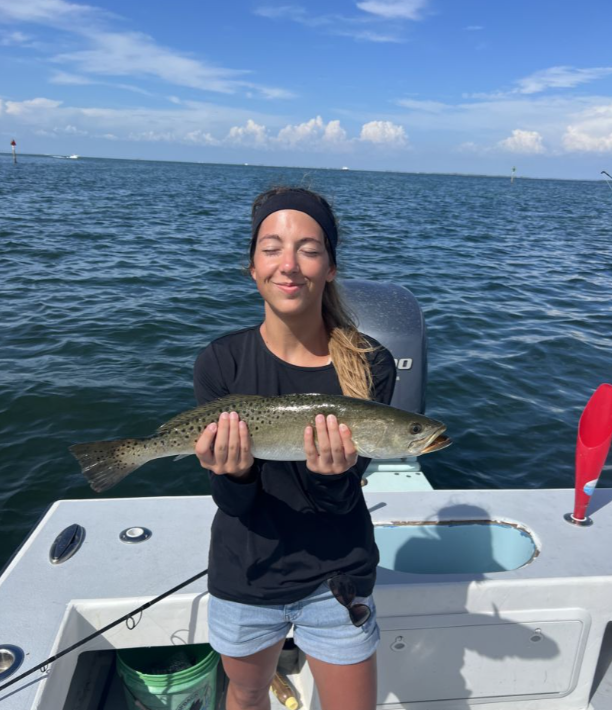 Tampa Bay Toads! In Holmes Beach