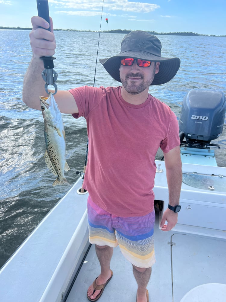 Tampa Bay Toads! In Holmes Beach