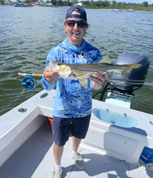 Tampa Bay Toads! In Holmes Beach