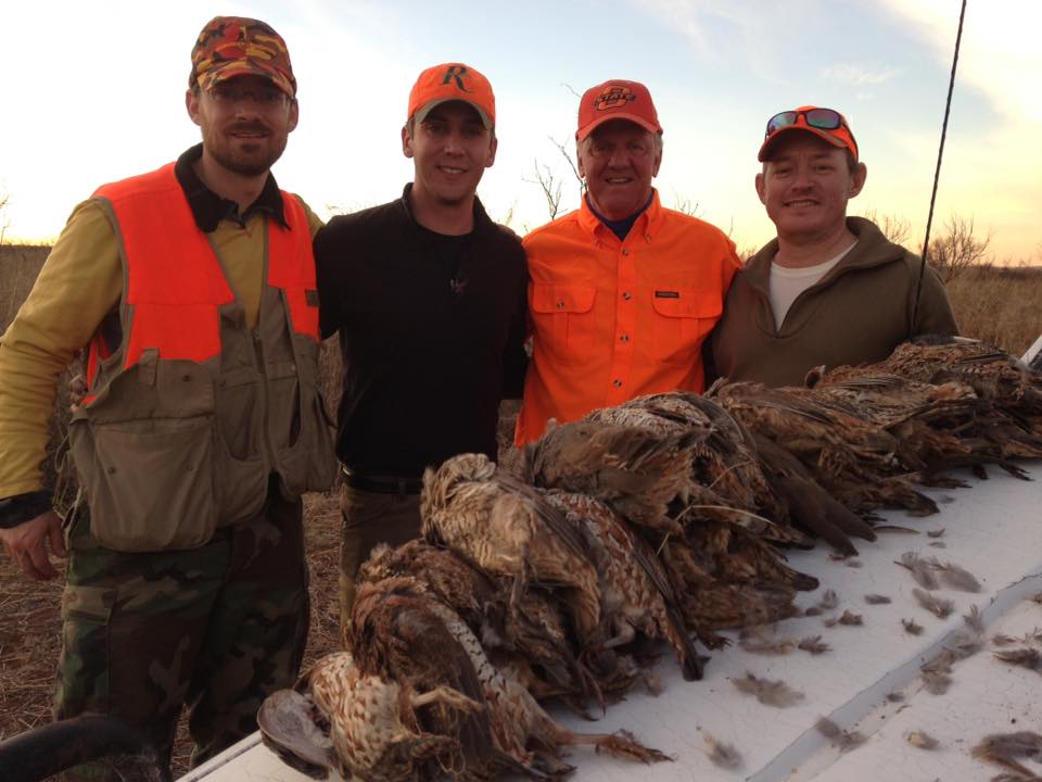 Texas Panhandle Quail Hunt W/ Lodging In Amarillo