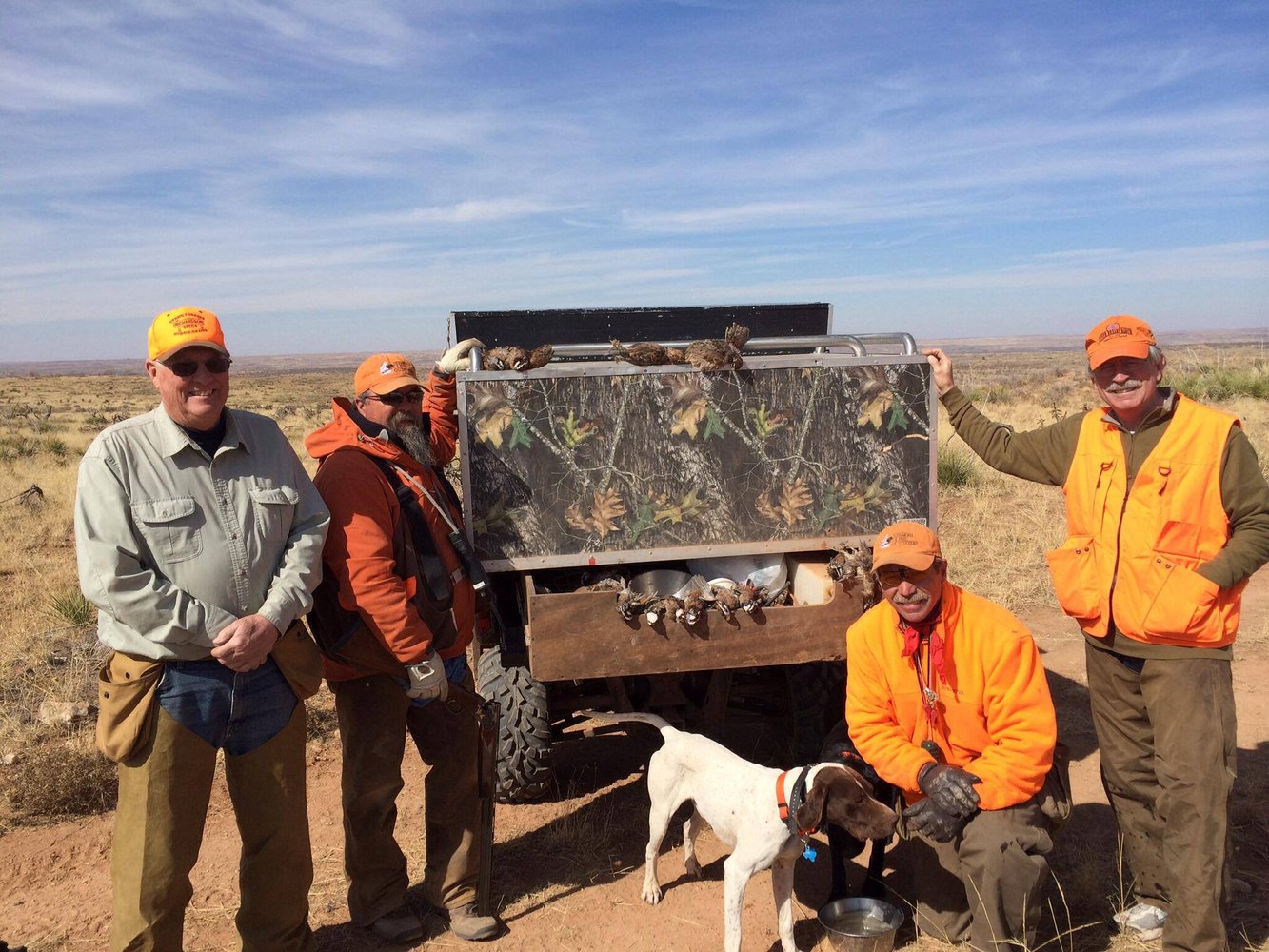 Texas Panhandle Quail Hunt W/ Lodging In Amarillo