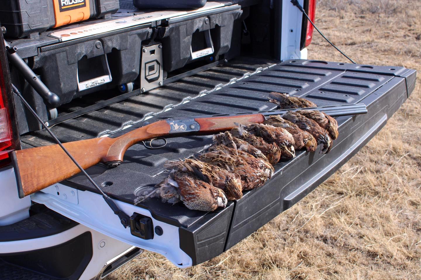 Texas Panhandle Quail Hunt W/ Lodging In Amarillo